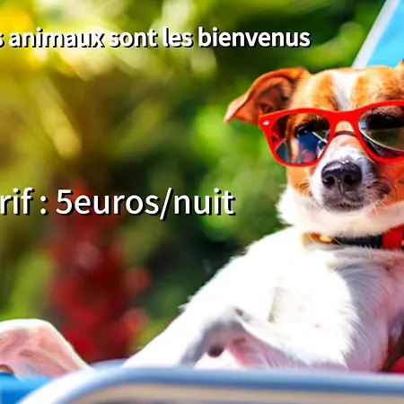 Apartment Bas De 70m2 Independant Avec Espace Jacuzzi Prive *